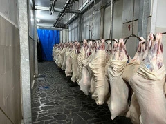 Баранина на Иран  охлажденная