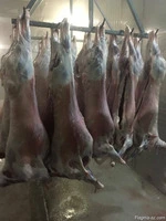 Баранина и козлятина в ОАЭ, Саудовская Аравия, Оман, Ливия и Кувейт - 3