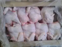 Куры халяль мясо баранина курдюк говядина