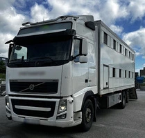 Volvo FH 500 livestock truck for sale, Norway