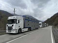 Перевозка крупного рогатого скота по РФ и СНГ