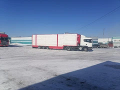 Перевозка скота скотовозом - 2