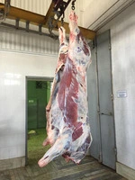 Продам Оптом на Экспорт Мясо Быка