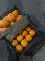 Мы экспортируем из Узбекистана фрукты и овощи.