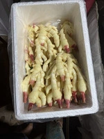 Предлагаю имбирь из Китая