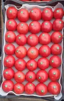 Продается помидоры оптом из Азербайджана