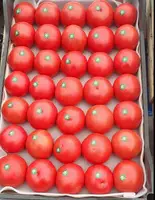 Продается помидоры оптом из Азербайджана - 2